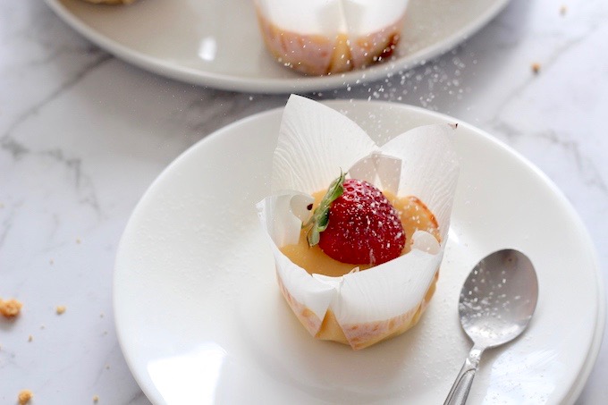 Mini Baked Cheesecake Dusted with Icing Sugar